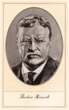 Theodore Roosevelt, 26th President of the United States, (early 20th century).Artist: Gordon Ross