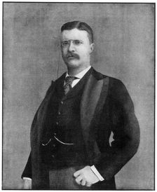 Theodore Roosevelt, 26th President of USA, 1901. Artist: George Gardner Rockwood