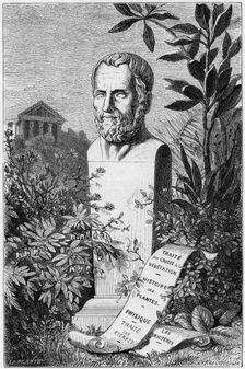Theophrastus, Ancient Greek philosopher and scientist, 1866. Creator: Unknown