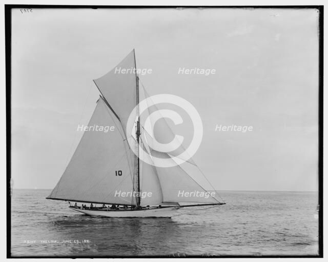 Thelma, 1891 June 29. Creator: Unknown.