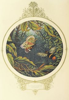 Then straight he flew like a valiant knight, 1870. Creator: A. F. L.