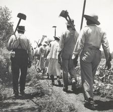 These cotton hoers work from 6 a.m. to 7 p.m. for $1.00 near Clarksdale, Mississippi, June-July 1937 Creators: Farm Security Administration, Dorothea Lange