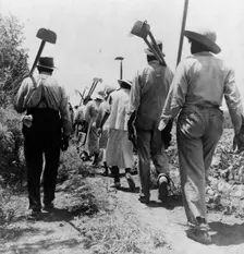 These cotton hoers work from 6 am to 7 pm for one dollar near Clarksdale, Mississippi, 1937. Creator: Dorothea Lange