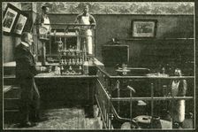 There Are No Poison Scares In The Dominions Of The Tsar 1901 Creator: Unknown