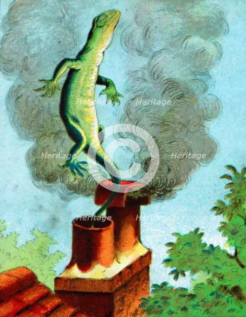 'There goes Bill', c1900.  Artist: Unknown.