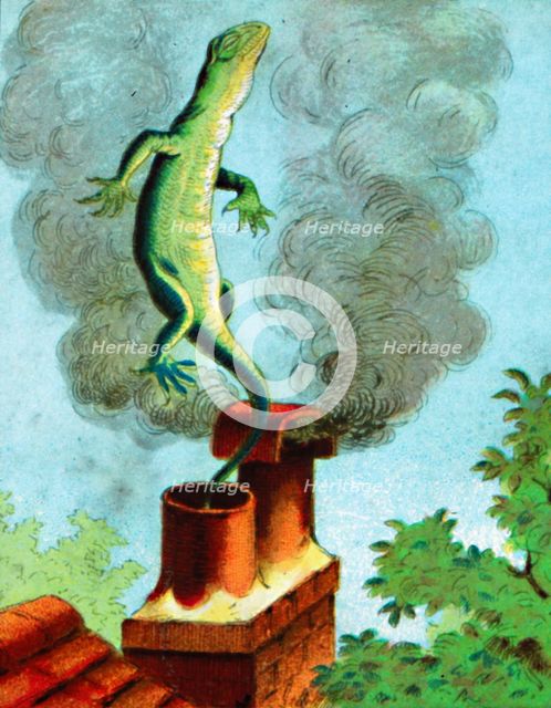 'There goes Bill', c1900.  Artist: Unknown.