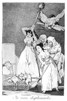 There they go, plucked 1799. Artist: Francisco Goya