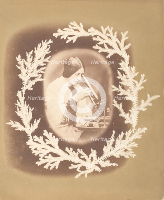 [Thereza Dillwyn Llewelyn with Her Microscope], ca. 1854. Creator: John Dillwyn Llewelyn.
