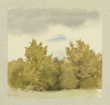 Thicket, 1855. Creator: Carl Theodor Reiffenstein