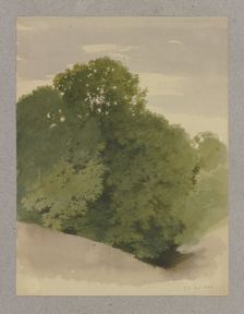 Thicket, 1856. Creator: Carl Theodor Reiffenstein