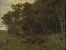 Thicket of alder trees, 1861. Creator: Anton Eduard Kieldrup