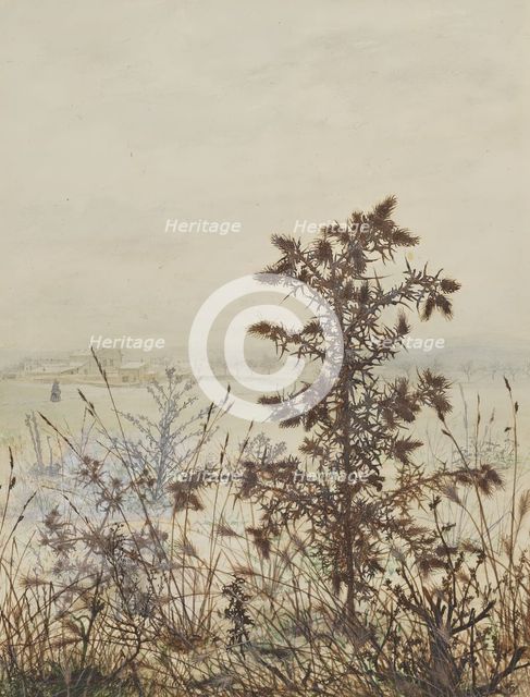 Thistle in front of a Winter Landscape, 1864. Creator: Leon Bonvin.