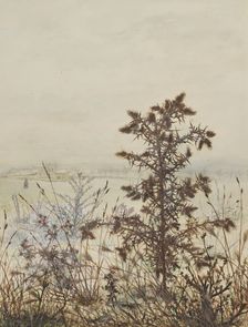 Thistle in front of a Winter Landscape, 1864. Creator: Leon Bonvin
