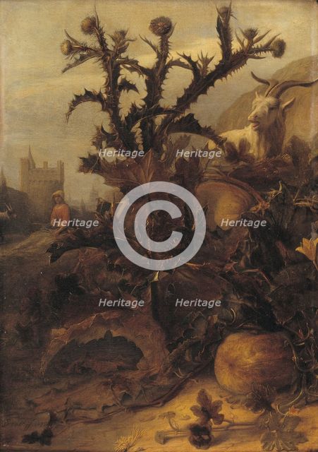 Thistle, Pumpkin and a Goat, 1675. Creator: Lambert Doomer.