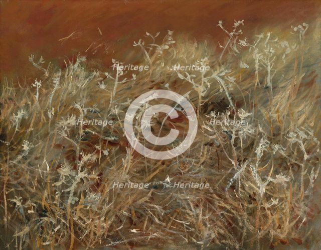 Thistles, 1883/89. Creator: John Singer Sargent.