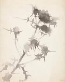 Thistles. Creator: Maria Wiik