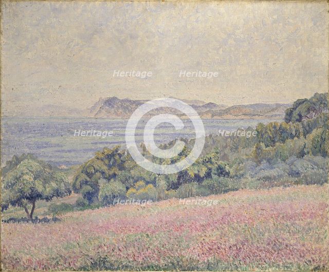 Thistles, Le Brusq, 1925. Artist: Lucien Pissarro.