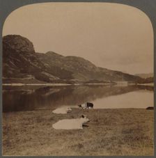 Thirlmere, a lake reservoir, the water-supply of Manchester (96 miles distant, Lake District, Eng.) Creator: Unknown