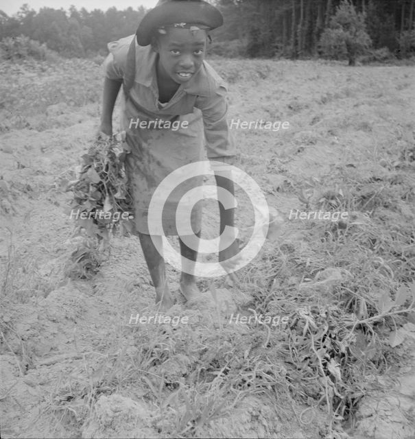 Thirteen year old daughter of Negro sharecropper..., Olive Hill, North Carolina, 1939. Creator: Dorothea Lange.