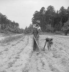 Thirteen year old daughter of Negro sharecropper..., Olive Hill, North Carolina, 1939. Creator: Dorothea Lange