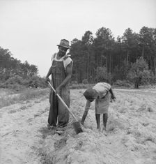 Thirteen year old daughter of Negro sharecropper..., Olive Hill, North Carolina, 1939. Creator: Dorothea Lange