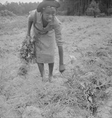 Thirteen year old daughter of Negro sharecropper..., Olive Hill, North Carolina, 1939. Creator: Dorothea Lange