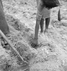 Thirteen year old daughter of Negro sharecropper..., Person County, North Carolina, 1939. Creator: Dorothea Lange