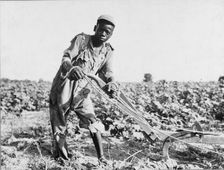 Thirteen-year old sharecropper boy near Americus, Georgia, 1937. Creator: Dorothea Lange