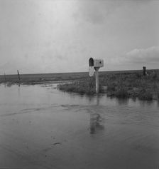 This year (1937) there are floods and heavy rains in the Dust Bowl, Texas, 1937. Creator: Dorothea Lange