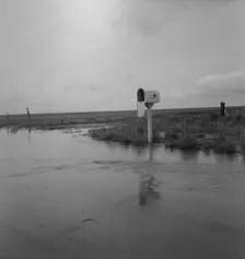 This year (1937) there are floods and heavy rains in the Dust Bowl, Texas, 1937. Creator: Dorothea Lange