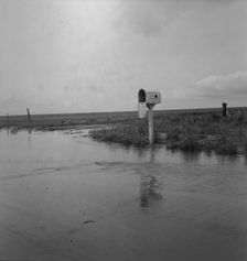 This year (1937) there are floods and heavy rains in the Dust Bowl, Texas, 1937. Creator: Dorothea Lange