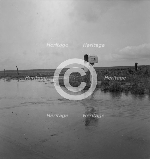 This year (1937) there are floods and heavy rains in the Dust Bowl, Texas, 1937. Creator: Dorothea Lange.