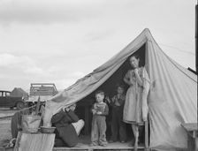 This family came to the potato harvest after the..., FSA camp, Merrill, Klamath County, Oregon, 1939 Creator: Dorothea Lange