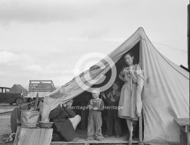 This family came to the potato harvest after the..., FSA camp, Merrill, Klamath County, Oregon, 1939 Creator: Dorothea Lange.