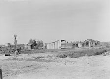 This family from Arkansas had one thousand dollars when they arrived in California, 1938. Creator: Dorothea Lange