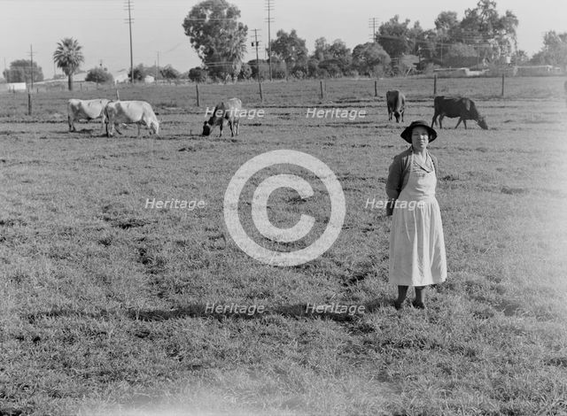 This farm of twelve acres operated as a prune ranch, Tulare County, California, 1938. Creator: Dorothea Lange.