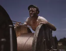 This husky member of a construction crew building a new 33,000-volt electric..., Ft. Knox, Ky., 1942 Creator: Alfred T Palmer