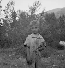 This is a younger brother who also picks hops, Washington, near Toppenish, Yakima Valley, 1939. Creator: Dorothea Lange