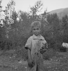 This is a younger brother who also picks hops, Washington, near Toppenish, Yakima Valley, 1939. Creator: Dorothea Lange