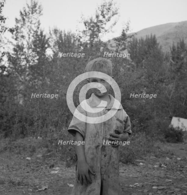 This is a younger brother who also picks hops, Washington, near Toppenish, Yakima Valley, 1939. Creator: Dorothea Lange.