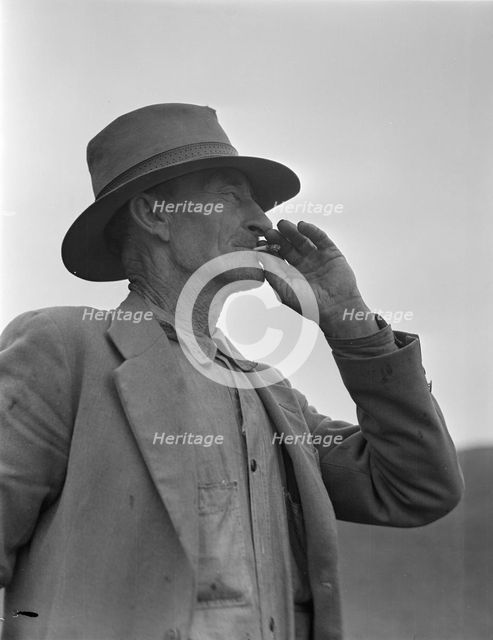 This man is a labor contractor in the pea fields of California, 1936 Creator: Dorothea Lange.