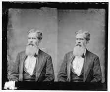 Thomas Montague Gunter of Arkansas, between 1865 and 1880. Creator: Unknown