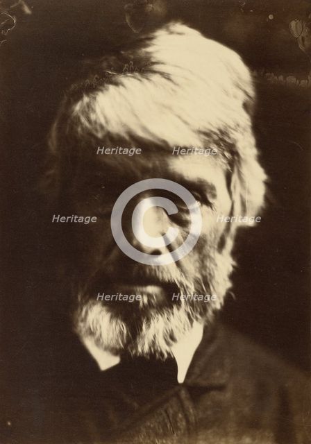 Thomas Carlyle, 1867.  Creator: Julia Margaret Cameron.