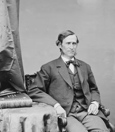 Thomas Francis Bayard of Illinois, between 1860 and 1875. Creator: Unknown