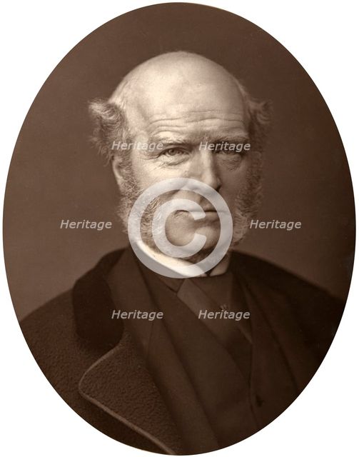 Thomas Hughes, 1880.Artist: Lock & Whitfield