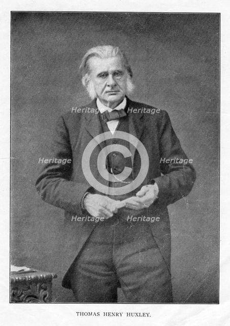 Thomas Henry Huxley, British biologist, c1870s. Artist: Unknown