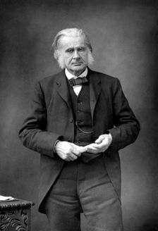 Thomas Henry Huxley, British biologist, c1890. Creator: W&D Downey