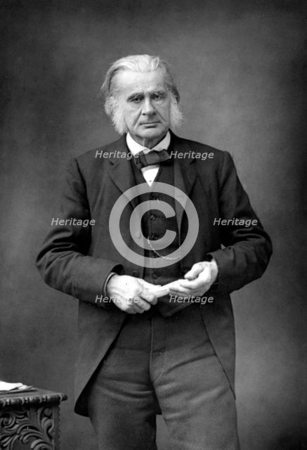 Thomas Henry Huxley, British biologist, c1890. Creator: W&D Downey.