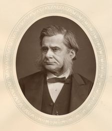 Thomas, Henry Huxley, English biologist, 1877. Creator: Lock & Whitfield