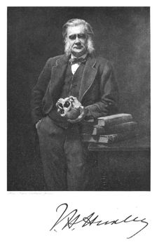 Thomas Henry Huxley, English biologist, 1883. Creator: Unknown